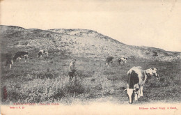 BELGIQUE - MIDDELKERKE - Dans Les Dunes - Editeur Albert Sugg - Carte Postale Ancienne - Other & Unclassified