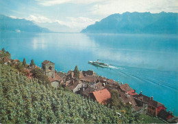 Switzerland Saint-Saphorin & Vignoble De Lavaux - Saint-Saphorin