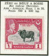 BAHAWALPUR - Faune, Zébu Ou Boeuf à Bosse - N° 20 - 1949 - MH - Bahawalpur