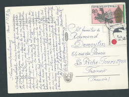 Carte Postale POZDRAV BRNA EN  Esperanto Envoi De BRNO En 1974, Vers La FRANCE  - Mald 12816 - Covers & Documents