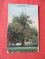 Old Liberty Tree      Annapolis Maryland > Annapolis   ref 5996 - Annapolis