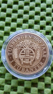 1 TUBANTER , 700yr - City Tubbergen 1280/1980 -  Foto's  For Condition. (Originalscan !!) - Souvenir-Medaille (elongated Coins)