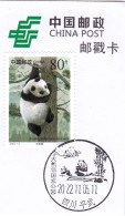 China Postmark Card,panda - Other & Unclassified