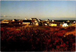 Canada Nova Scotia Peggy's Cove Autumn Splendor - Sonstige & Ohne Zuordnung