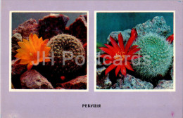 Rebutia - Cacti - Cactus - Flowers - 1977 - Ukraine USSR - Unused - Cactusses