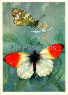 Orange-tip - Anthocharis Cardamines - Butterfly - Butterflies - 1976 - Russia USSR - Unused - Papillons