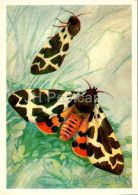 Garden Tiger Moth - Arctia Caja - Butterfly - Butterflies - 1976 - Russia USSR - Unused - Papillons