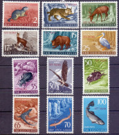 SLOVENIA - ITALIA - ZONE  B - ANIMALS - **MNH -1954 - Mint/hinged