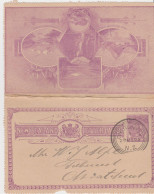 NEW ZEALAND Letter Card Mitre Peak Entier Violet 1/2 Penny Victoria Type H CAD Christ Church 29 MY 1895 NZ - Entiers Postaux