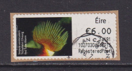 IRELAND  -  2013 Red Tube Worm SOAR (Stamp On A Roll)  CDS  Used On Piece As Scan - Oblitérés