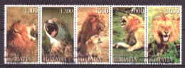 Buriatia - Siberia Local Post Vignette Animals Nature Lions Used - Sibérie Et Extrême Orient