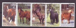 Buriatia - Siberia Local Post Vignette Animals Nature Horses Used - Sibérie Et Extrême Orient