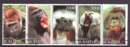 Buriatia - Siberia Local Post Vignette Animals Nature Apes Used - Sibérie Et Extrême Orient