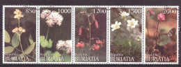 Buriatia - Siberia Local Post Vignette Nature Flowers Used - Sibérie Et Extrême Orient
