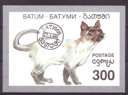 Batum Local Post Vignette Nature Animals Cats Used - Georgia