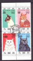 Batum Local Post Vignette Nature Animals Cats Used - Georgien