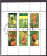 Karakalpakia Local Post Vignette Nature Animals Dogs Used - Sibérie Et Extrême Orient