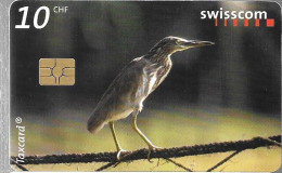 CARTE-PUCE-SUISSE-10CHF-HERON De MANGROVE-TBE - Aigles & Rapaces Diurnes