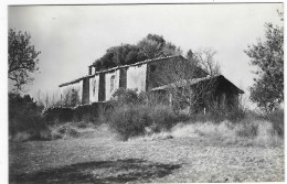 CPSM MANOSQUE, CHAPELLE DE TOUTES AURES, Format 9 Cm Sur 14 Cm Environ, ALPES DE HAUTE PROVENCE 04 - Manosque