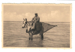 Nieuwpoort - Bad  L'odorante Récolte A Rempli Les Paniers  Verse Garnalen ( Pêcheur De Crevettes - Garnalenvisser ) - Nieuwpoort