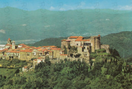 CARTOLINA  LUNIGIANA-FOSDINOVO,MASSA-CARRARA,TOSCANA-IL CASTELLO E IL BORGO-STORIA,MEMORIA,BELLA ITALIA,NON VIAGGIATA - Carrara