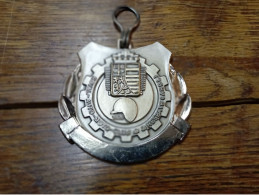 Un Médaille De La Province De Liège - Touristisch