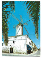 TIPICO MOLINO / TYPICAL WINDMILL.-  CIUDADELA - MENORCA.- ILLES BALEARS - Menorca