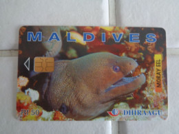 Maldives Phonecard - Maldives