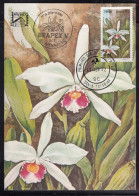 Brazil Brasil 1982 Flowers Mi#1890 Maximum Card - Cartas & Documentos