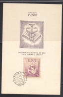 Brazil Brasil 1948 Mi#736 Special Card - FDC - Lettres & Documents