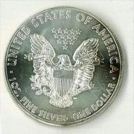 STATI UNITI - UNITED STATES - ONCIA ARGENTO 999 - ANNO 2013 - UNCIRCULATED - NON CIRCOLATA - 1 ONCIA - Silber