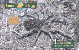 B-142 TARJETA DE ESPAÑA DE UNA ARAÑA LOBO FAUNA IBERICA (SPIDER) - Otros & Sin Clasificación