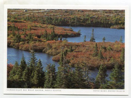 AK 128478 CANADA - Nova Scotia - Landschaft Bei West Dover - Altri & Non Classificati