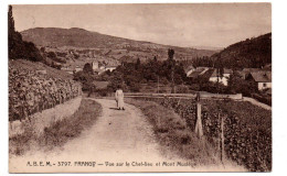 Frangy - Vue Sur Le Chef Lieu Et Mont Musiege -  CPA°J - Frangy