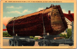 Oregon/Washington Giant Log On Truck En Route To Mill 1952 Curteich - Altri & Non Classificati