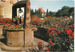 PHALSBOURG - Le Puits Fleuri - Phalsbourg