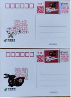 China Covers,Self-service Lottery Ticket Shaanxi 2023-1, Xi'an, Shaanxi, Year Of The Rabbit, Two Covers And Two Pieces T - Lettres & Documents