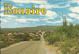 BONAIRE - VIEW OF EARLY SETTLEMENT CALLED RINCON - PUB. DEXTER - 1971 - Bonaire