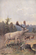 Très Jolie Carte Ancienne  UPU, Cerf, Rare, Bon état Voir Les Scans - Pilze