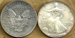 USA UNITED STATES 1 DOLLAR EAGLE EMBLEM FRONT WALKING LIBERTY BACK 1995 AG1 Oz SILVER KM? READ DESCRIPTION CAREFULLY !!! - Gedenkmünzen