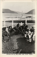 PC CPA US, ID, WILLIAMS LAKE STOCK YARDS, VINTAGE REAL PHOTO POSTCARD (b6910) - Altri & Non Classificati