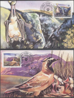 JUGOSLAVIA -  BATS - BIRDS - MC - 1995 - Fledermäuse