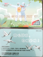 China Baicheng Subway Card,Fighting COVID-19 Memorial Card，1 Pcs - Welt
