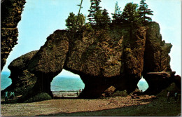 Canada New Brunswick Hopewell Cape The Rocks - Sonstige & Ohne Zuordnung