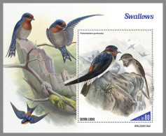 SIERRA LEONE 2022 MNH Swallows Schwalben Avale S/S II - OFFICIAL ISSUE - DHQ2316 - Hirondelles