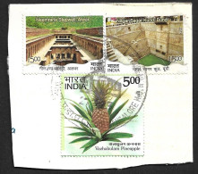 INDIA 2023 & 2017 Stepwells , Architecture, Water Reservoir Lake Pineapple Fruit,Bangalore Used (**) Inde Indien - Usados