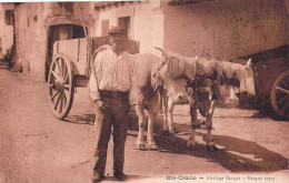 AGRICULTURE - Attelage Basque - Bas-Cambo - Carte Postale Ancienne - Teams