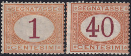 1870-90 1 C. + 40 C. Sass 3+24 MLH* - Postage Due