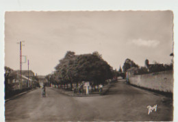 49 - MONTFAUCON SUR MOINE - Place Du Souvenir  4 - Montfaucon