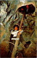 Canada Banff Canadian Wax Gallery Cave & Basin On Sulphur Mountain - Banff